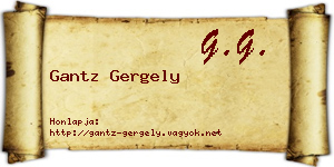 Gantz Gergely névjegykártya